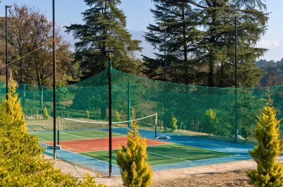 Pickleball Court