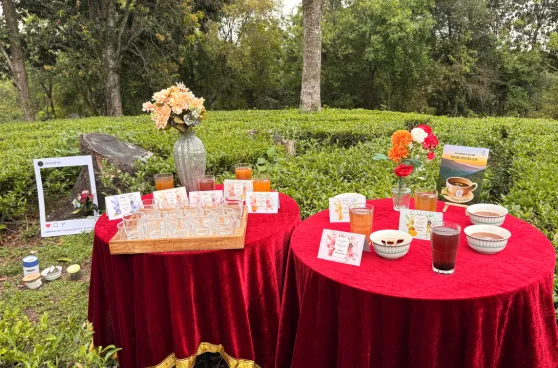 Tea tasting