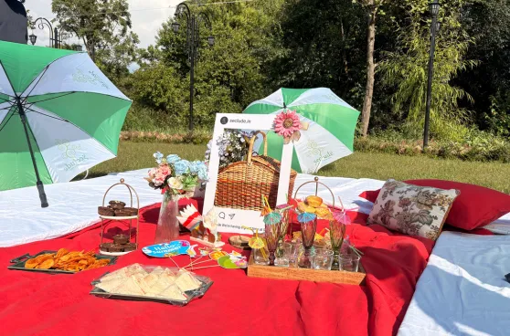 Picnic